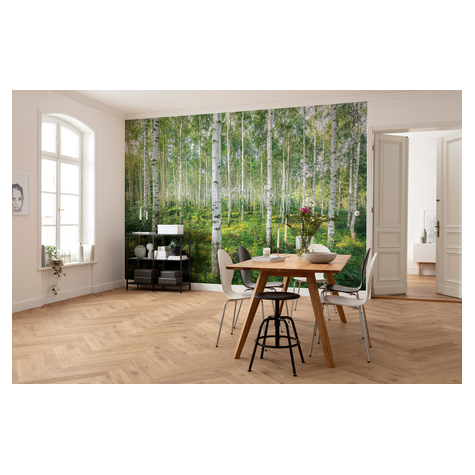 Paper Wallpaper - Sunny Day - Размер 368 x 254 cm