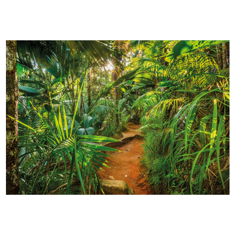 Paper Wallpaper - Jungle Trail - Размер 368 x 254 cm