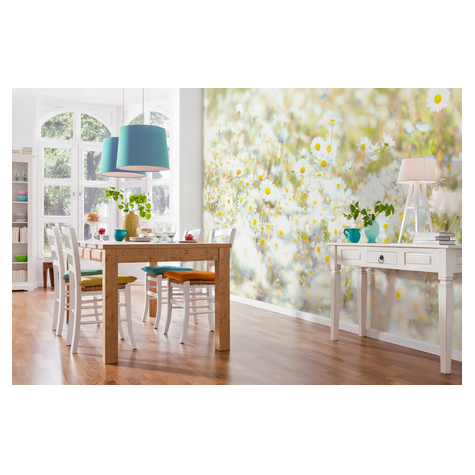 Paper Wallpaper - Daisies - Размер 368 x 254 cm