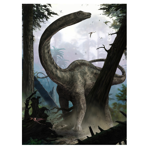 Нетъкан тапет - Rebbachisaurus - размер 184 x 248 cm