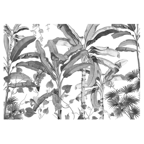 Нетъкани тапети - Croissances Monochrome - размер 400 x 280 cm