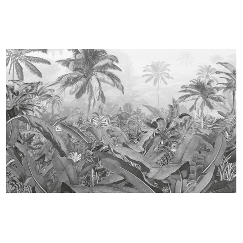 Тапет от нетъкан текстил - Amazonia Black and White - Размер 400 x 250 cm