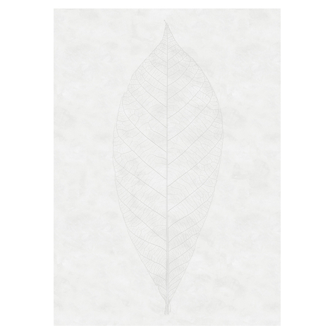 Нетъкани тапети - Decent Leaf - размер 200 x 280 cm