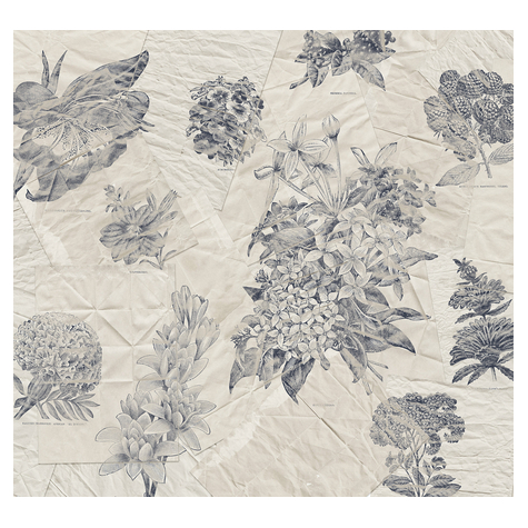 Нетъкани тапети - Botanical Papers - размер 300 x 280 cm