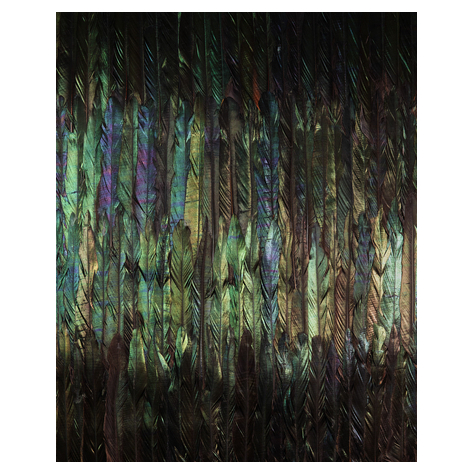 Нетъкани тапети - Dark Wings - размер 200 x 250 cm