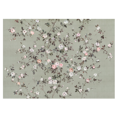 Нетъкани тапети - Розелия - размер 350 x 250 cm