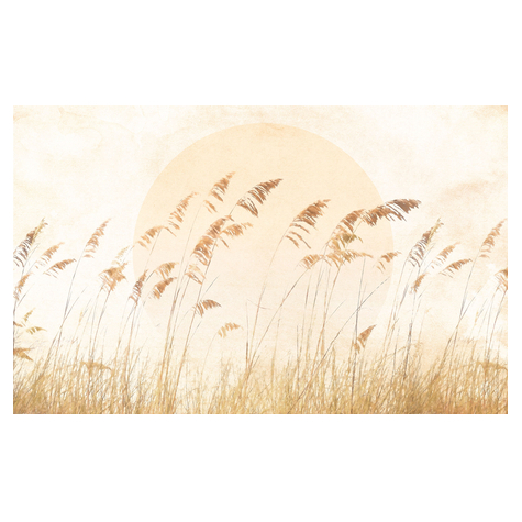 Тапет от нетъкан текстил - Dune Grass - Размер 400 x 250 cm