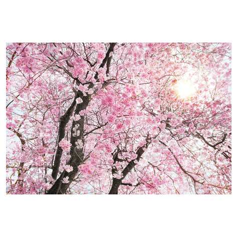 Нетъкани тапети - Bloom - размер 400 x 260 cm