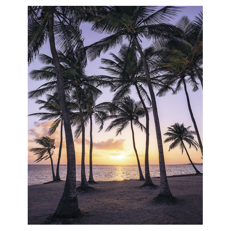 Нетъкани тапети - Palmtrees on Beach - Размер 200 x 250 cm