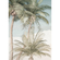 Non-Woven Wallpaper - Palm Oasis - Size 200 X 280 Cm